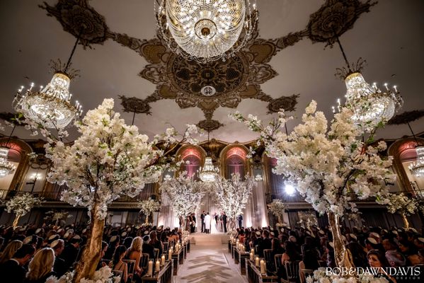 Kehoe Designs by null