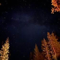 Mazama Village Campground