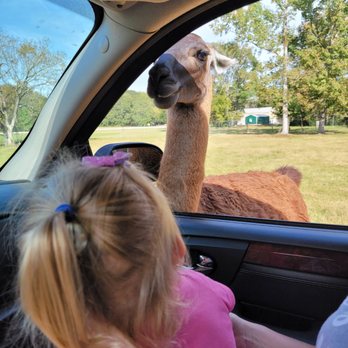 Alabama Safari Park - Zoos Near Me - Hope Hull, Alabama