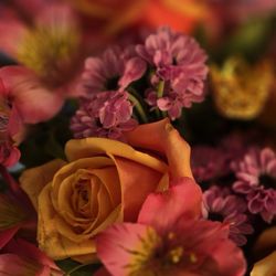 Fridas Studio Floral Design