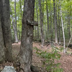 Sunset Hill Trail - Return towards the Main Gate of the John Hay Estate