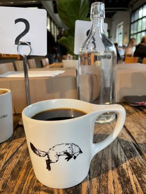 Fox in the Snow Cafe by null