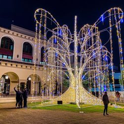 Willow Tree installed in Beverly Hills, California