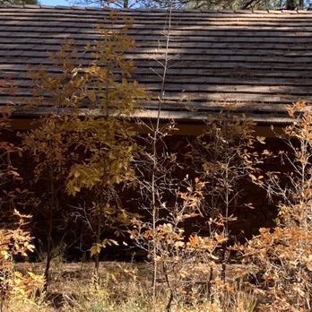 The Arboretum at Flagstaff - Near the visitor center - Parks Near Me - Flagstaff, Arizona
