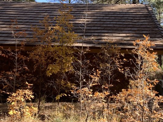 The Arboretum at Flagstaff by null