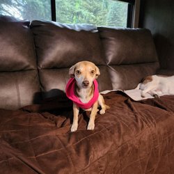 Priest Gulch Campground & Rv Park - Jasmine's first season at Priest Gulch