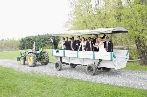 Alyson's Orchard by null