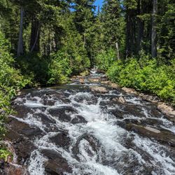 Narada Falls - Stream nearby