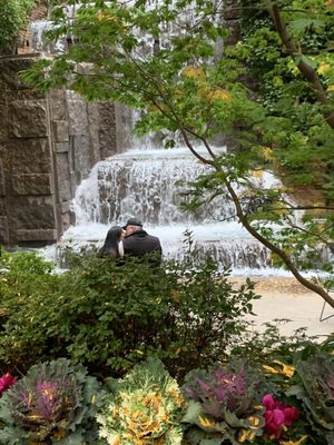 Greenacre Park by null