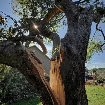 James Tree Service - Tree Services Near Me - North Little Rock, Arkansas James Tree Service - Tree Services Near Me - North Little Rock, Arkansas