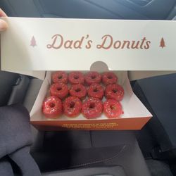 Dad’s Donuts - Raspberry Doughnuts
