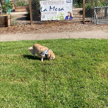 MacArthur Park - What's this? - Parks Near Me - La Mesa, California MacArthur Park - What's this? - Parks Near Me - La Mesa, California