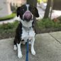 Photo of Walk With Keira