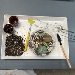 Roots Plant Studio