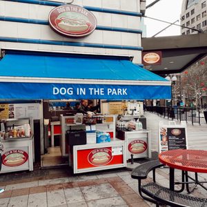 Photo of Dog In The Park - Seattle, WA, United States