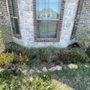 Lawn and Shine