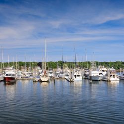Kosciuszko Park - View of the Marina Across