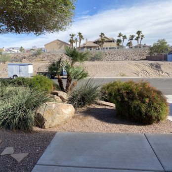 The Palm Tree Guy - More trimming and shaping!! - Tree Services Near Me