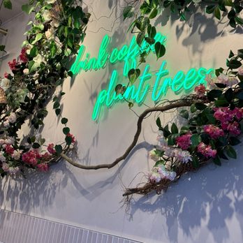 Coffee and Plants - Coffee & Tea Near Me - Studio City, California Coffee and Plants - Coffee & Tea Near Me - Studio City, California