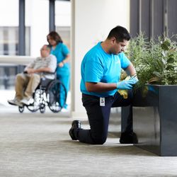 ServiceMaster of Allentown - Detail cleaning