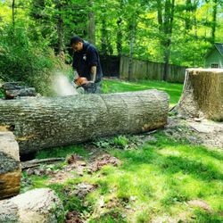 user provided Browns Tree & Landscaping & Home Improvements photo