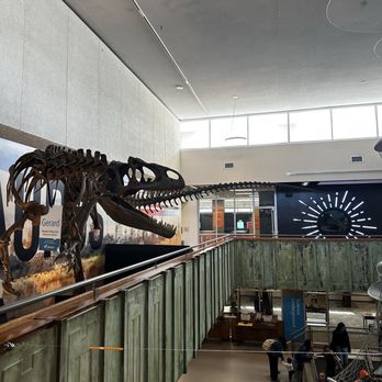 The Discovery - Dinosaur- Alosaurus - Museums Near Me - Reno, Nevada