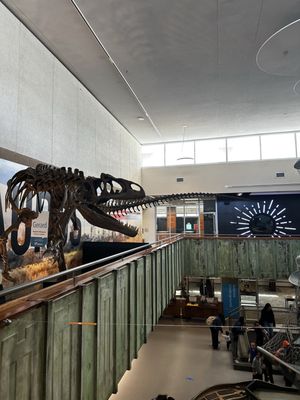 The Discovery by null