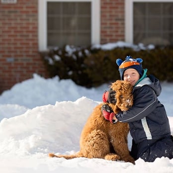 4E Kennels - Pet Breeders Near Me