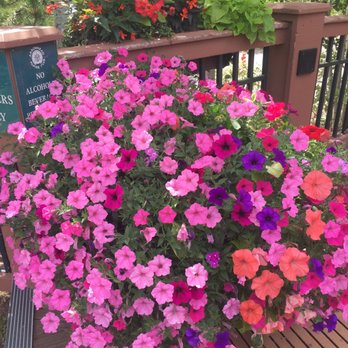 Garden Creations - a bench with flowers on it - Landscaping Near Me Garden Creations - a bench with flowers on it - Landscaping Near Me