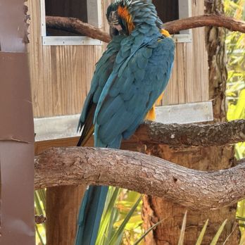 Brevard Zoo - Zoos Near Me - Melbourne, Florida Brevard Zoo - Zoos Near Me - Melbourne, Florida