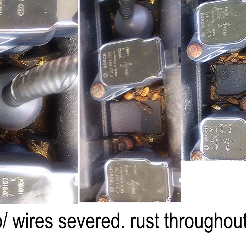 Ferco Motors - RAT EATEN WIRES/COILS WITH RAT POOP - Car Dealers Near Me - Miami, Florida Ferco Motors - RAT EATEN WIRES/COILS WITH RAT POOP - Car Dealers Near Me - Miami, Florida