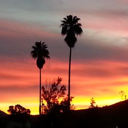 Ojai Self Storage