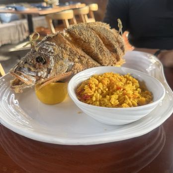 Astra - Snapper - Mediterranean Near Me - Miami, Florida