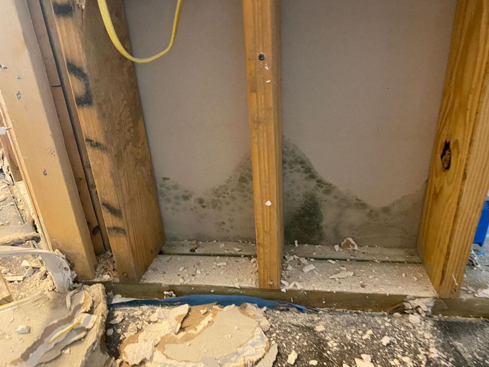 Supreme Mold Testing - mold inspector in Houston, TX