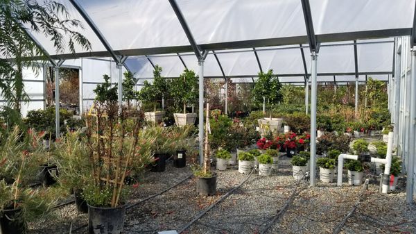Urban Tree Farm Nursery 3010 Fulton Rd Ca Nurseries Plants Trees Etc Whole Mapquest Urban Tree Farm Nursery 3010 Fulton Rd, Urban Tree Farm Santa Rosa Ca