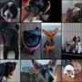 Photo of Galveston Dog House