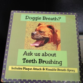 Callys Pet Grooming - Pet Groomers Near Me - Alcoa, Tennessee Callys Pet Grooming - Pet Groomers Near Me - Alcoa, Tennessee