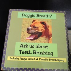 Callys Pet Grooming