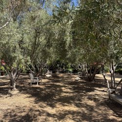 Arlington Garden in Pasadena - tree garden