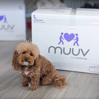 MUUV - Movers Near Me - New York, New York