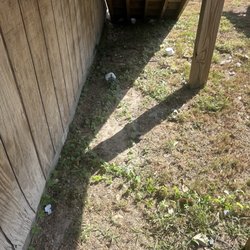 Nags Head Beach Inn - Back yard, strewn with trash including a dirty diaper.