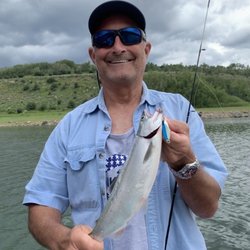 Heeney Marina - Great day on the Water - Kokanee Salmon!