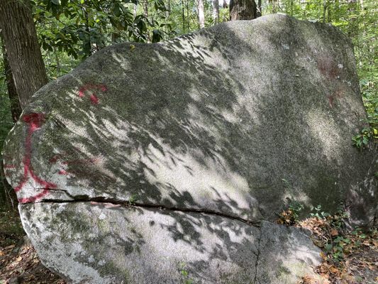 Cascade Springs Nature Preserve by null