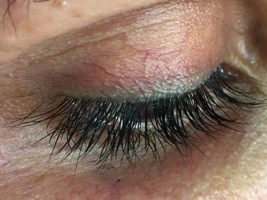 APOLONIA SKIN CARE by null