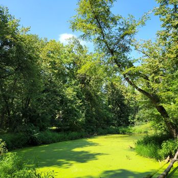Delnor Woods Park - Parks Near Me - St. Charles, Illinois