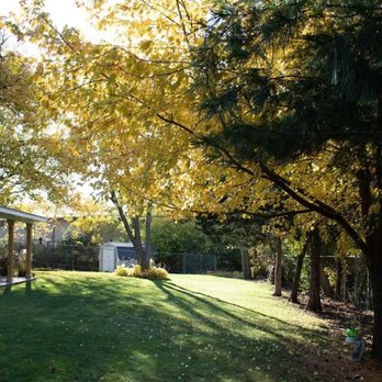Golf Green Lawn Care - the back yard of a home - Tree Services Near Me - Pekin, Illinois Golf Green Lawn Care - the back yard of a home - Tree Services Near Me - Pekin, Illinois