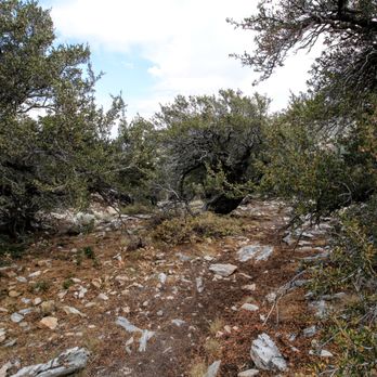 Great Basin National Park - Parks Near Me - Baker, Nevada