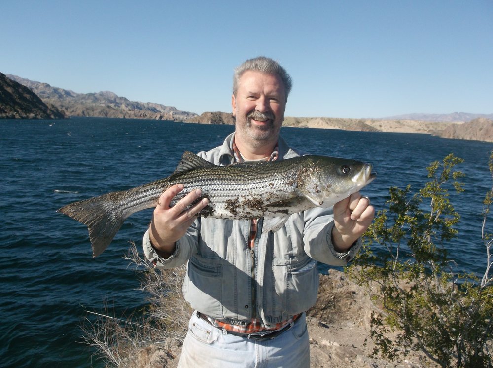 Hooked On Stripers Logo