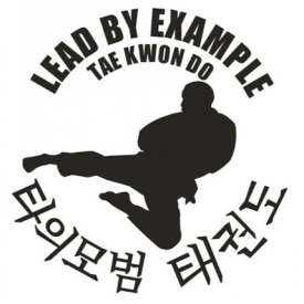 LEAD BY EXAMPLE TAE KWON DO visual data 4
