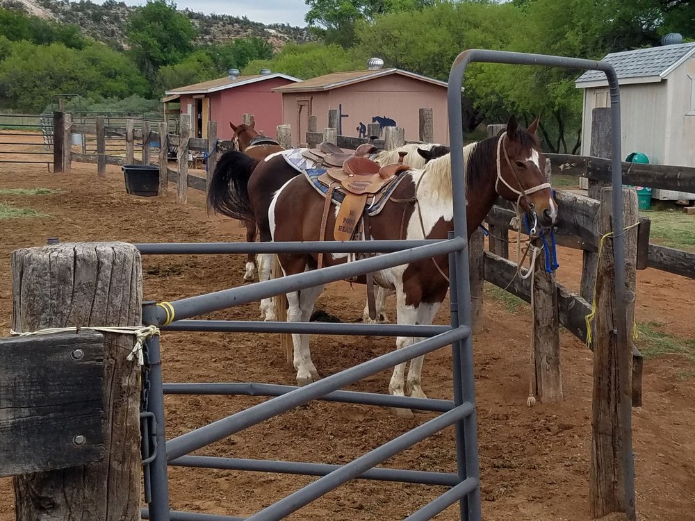 TRAIL HORSE ADVENTURES 79 Photos & 45 Reviews Horseback Riding